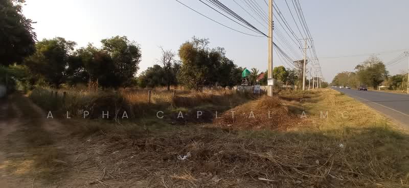 Sale Vacant Land ZB_115_G01, Kalasin, กุฉินารายณ์ - สร้างก่อ (ทล.2291), Na Go, Kuchinarai, Kalasin, , 6,648 sqm, Land For Sale, by Alpha Capital AMC, 11551979 - DDproperty.com