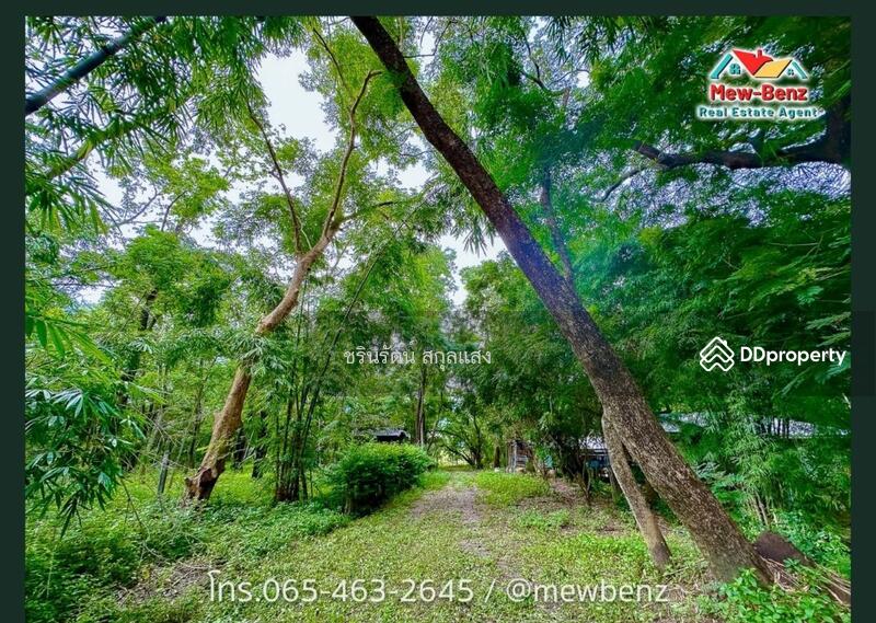For Sale - Riverside garden house on a 2-1-2 rai plot of lamf in BanSang District , Prachinburi Province, Prachin Buri