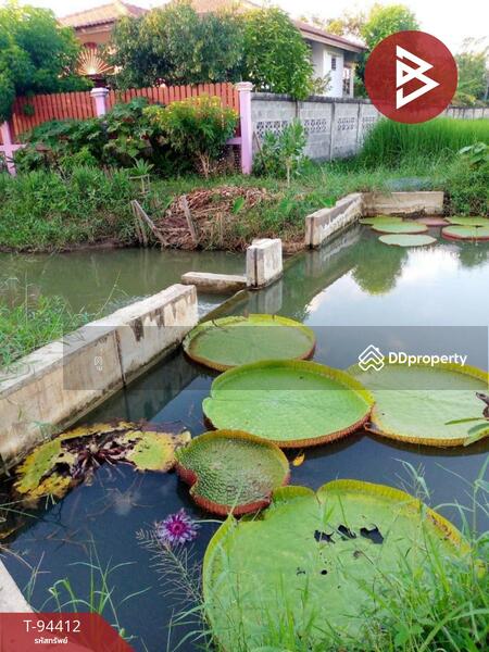 ขาย - บ้านเดี่ยวสูงเม่น แพร่, แพร่