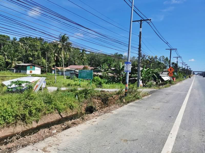 Vacant land, Pattani - Khok Pho Rd.(Hwy.42) T.Bo Thong, A.Nong Chik, PATTANI L4_5_0319_G01_C005, pattani, ติดถนนสายปัตตานี - โคกโพธิ์(ทล.42), Bo Thong, Nong Chik, Pattani, , 656 sqm, Land For Sale, by วารุณี จำรูญนุรักษ์, 11555295 - DDproperty.com