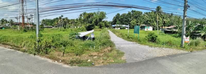 Vacant land, Pattani - Khok Pho Rd.(Hwy.42) T.Bo Thong, A.Nong Chik, PATTANI L4_5_0319_G01_C005, pattani, ติดถนนสายปัตตานี - โคกโพธิ์(ทล.42), Bo Thong, Nong Chik, Pattani, , 656 sqm, Land For Sale, by วารุณี จำรูญนุรักษ์, 11555295 - DDproperty.com
