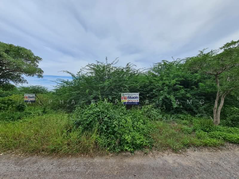 ขายที่ดิน ใกล้หาดปึกเตียน BYD_007_G01_S1, เพชรบุรี, คันกั้นน้ำเค็ม, ปึกเตียน, ท่ายาง, เพชรบุรี, 632 ตร.ม., ที่ดิน ขาย, โดย Alpha Capital AMC, 11555473 - DDproperty.com