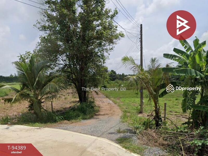 ขาย - ที่ดินเกาะจันทร์ ชลบุรี, ชลบุรี