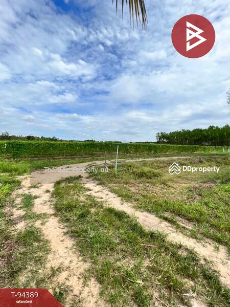 ขาย - ที่ดินเกาะจันทร์ ชลบุรี, ชลบุรี