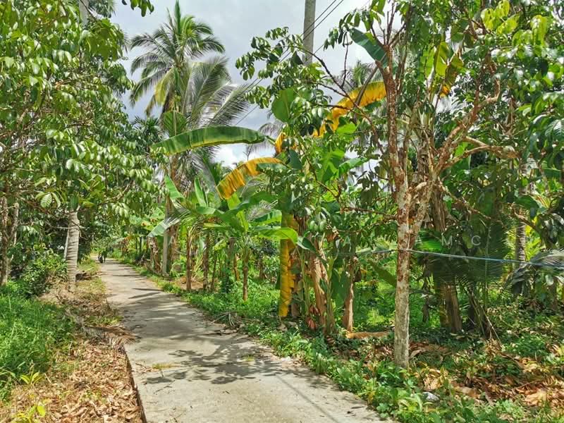 For Sale - Sale Vacant Land L4_2_0163_G01_S1, Yala