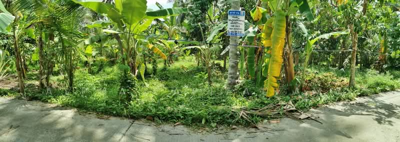 For Sale - Sale Vacant Land L4_2_0163_G01_S1, Yala