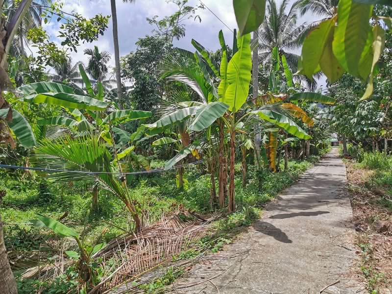 For Sale - Sale Vacant Land L4_2_0163_G01_S1, Yala