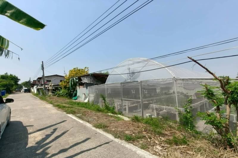 ที่ดินเปล่า บางกรวย-ไทรน้อย ซอยสวนผักร้อยไร่(ม.7), Nonthaburi, บางกรวย-ไทรน้อย, Bang Bua Thong, Bang Bua Thong, Nonthaburi, , 5,820 sqm, Land For Sale, by ชนะชาติ นนท์ตา, 11557138 - DDproperty.com