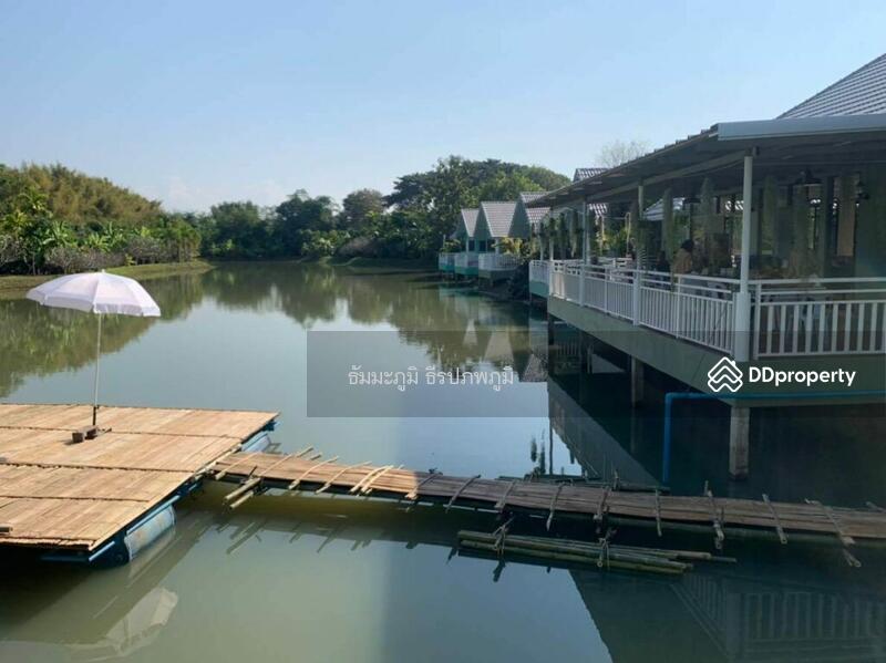 ขายรีสอร์ท 5124 ตร.ว สันทราย เชียงใหม่
