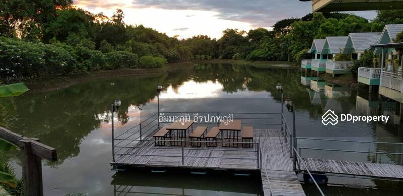 ขายรีสอร์ท 5124 ตร.ว สันทราย เชียงใหม่