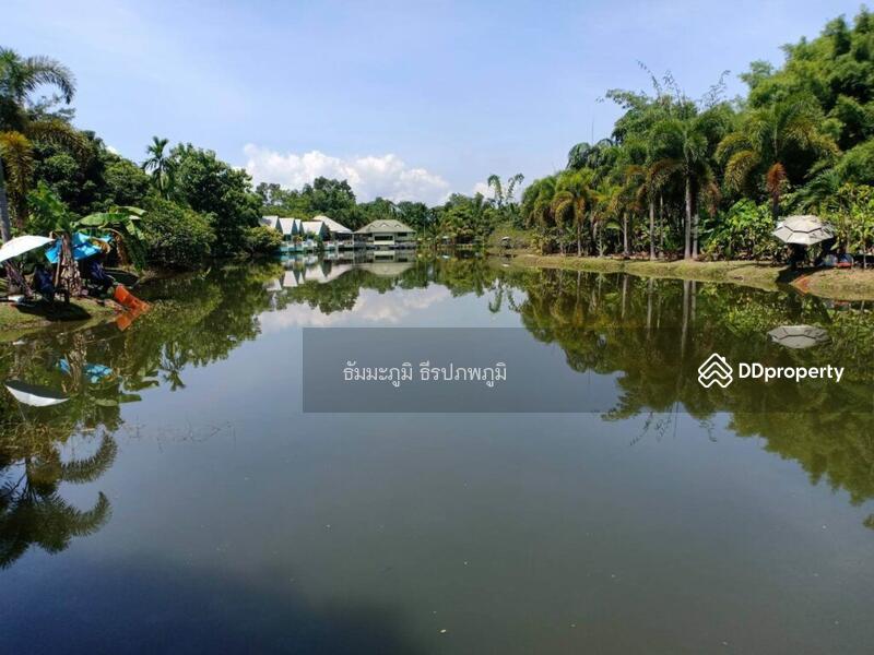 ขายรีสอร์ท 5124 ตร.ว สันทราย เชียงใหม่