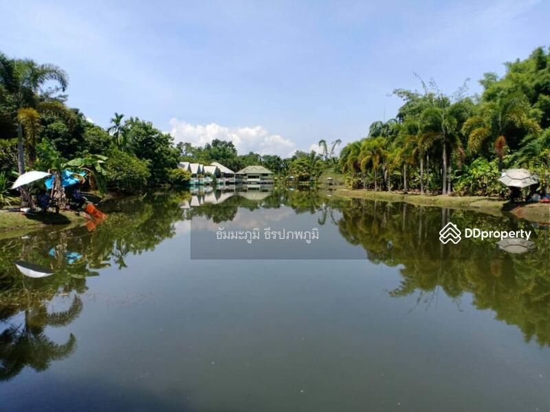 ขายรีสอร์ท 5124 ตร.ว สันทราย เชียงใหม่