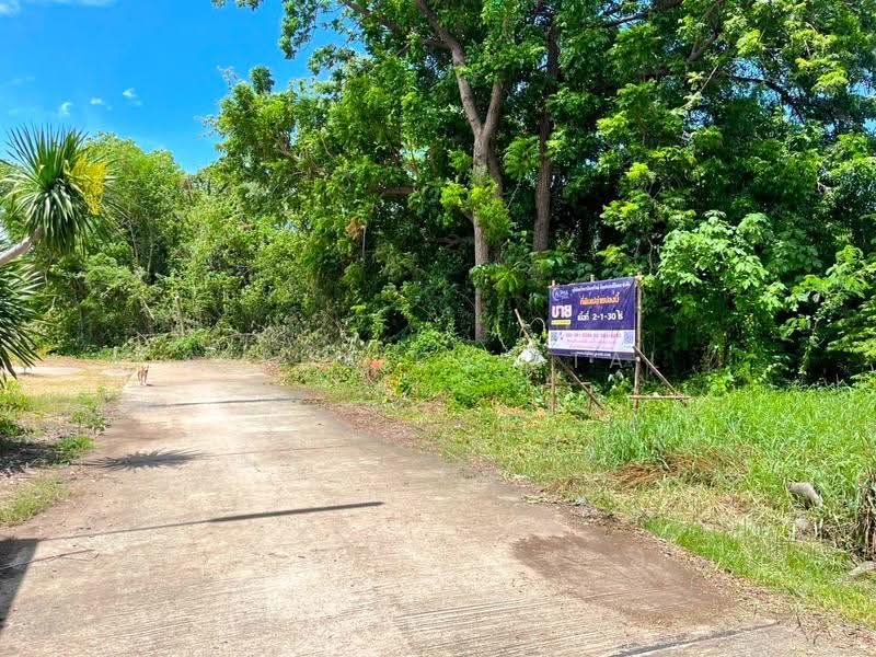 Vacant land, Tha Manao 15 Tha Manao Road.(Hwy.2089), Lum Narai, A.Chai Badan, LOP BURI L4_6_0044_G01, Lop Buri, 15 ถนนท่ามะนาว(Hwy.2089), Lamnarai, Chai Badan, Lop Buri, , 3,720 sqm, Land For Sale, by วารุณี จำรูญนุรักษ์, 11557414 - DDproperty.com