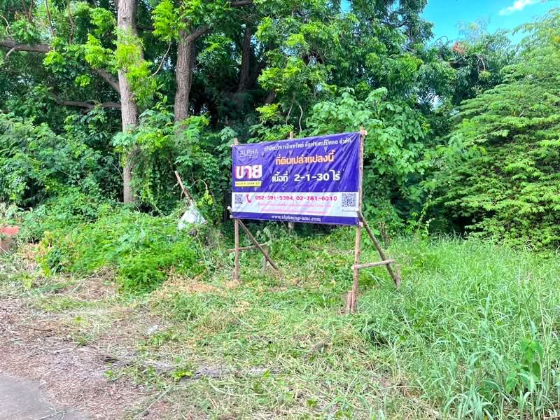 Vacant land, Tha Manao 15 Tha Manao Road.(Hwy.2089), Lum Narai, A.Chai Badan, LOP BURI L4_6_0044_G01, Lop Buri, 15 ถนนท่ามะนาว(Hwy.2089), Lamnarai, Chai Badan, Lop Buri, , 3,720 sqm, Land For Sale, by วารุณี จำรูญนุรักษ์, 11557414 - DDproperty.com