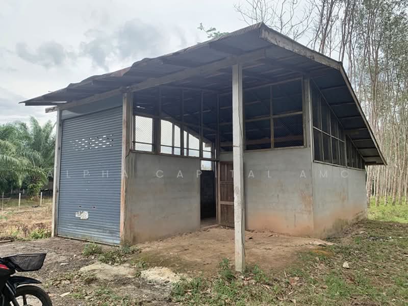 ขาย - โรงเรือนอื่นๆ 1 ชั้น ถนนวังปริง - เกาะไทร แยกจากถนนฉลุง-ละงู ต.ท่าเรือ อ.ท่าแพ จ.สตูล L4_2_0452_G01, สตูล