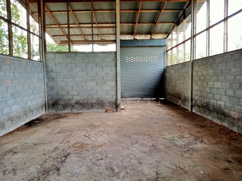 ขาย - โรงเรือนอื่นๆ 1 ชั้น ถนนวังปริง - เกาะไทร แยกจากถนนฉลุง-ละงู ต.ท่าเรือ อ.ท่าแพ จ.สตูล L4_2_0452_G01, สตูล