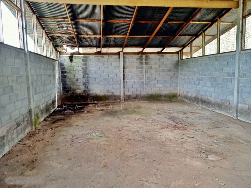 ขาย - โรงเรือนอื่นๆ 1 ชั้น ถนนวังปริง - เกาะไทร แยกจากถนนฉลุง-ละงู ต.ท่าเรือ อ.ท่าแพ จ.สตูล L4_2_0452_G01, สตูล