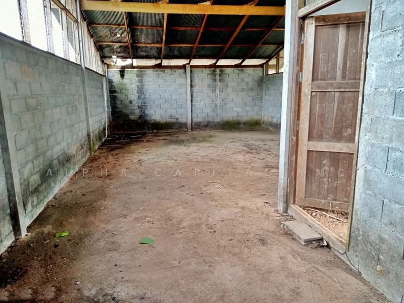 ขาย - โรงเรือนอื่นๆ 1 ชั้น ถนนวังปริง - เกาะไทร แยกจากถนนฉลุง-ละงู ต.ท่าเรือ อ.ท่าแพ จ.สตูล L4_2_0452_G01, สตูล