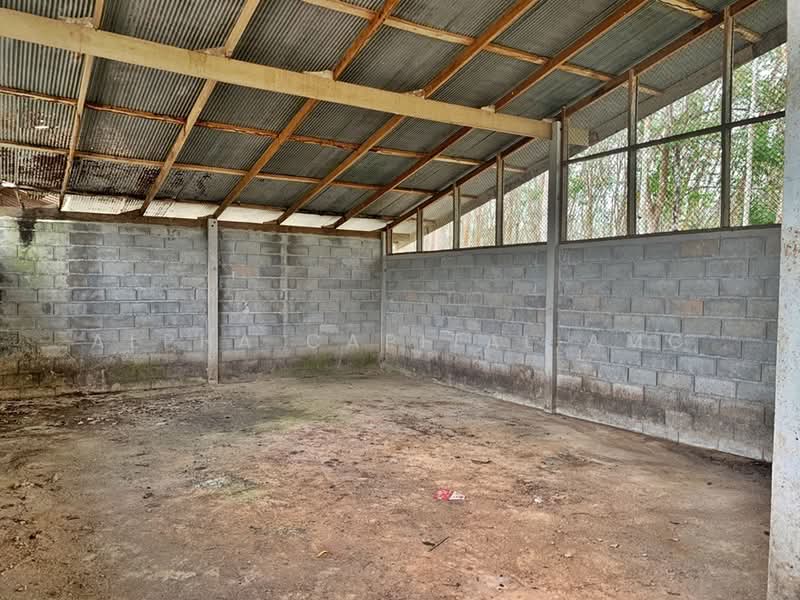 ขาย - โรงเรือนอื่นๆ 1 ชั้น ถนนวังปริง - เกาะไทร แยกจากถนนฉลุง-ละงู ต.ท่าเรือ อ.ท่าแพ จ.สตูล L4_2_0452_G01, สตูล