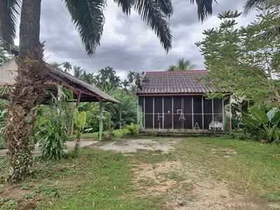 ขาย - ขายบ้านพักอาศัยชั้นเดียว L4_2_0657_G01, ตรัง