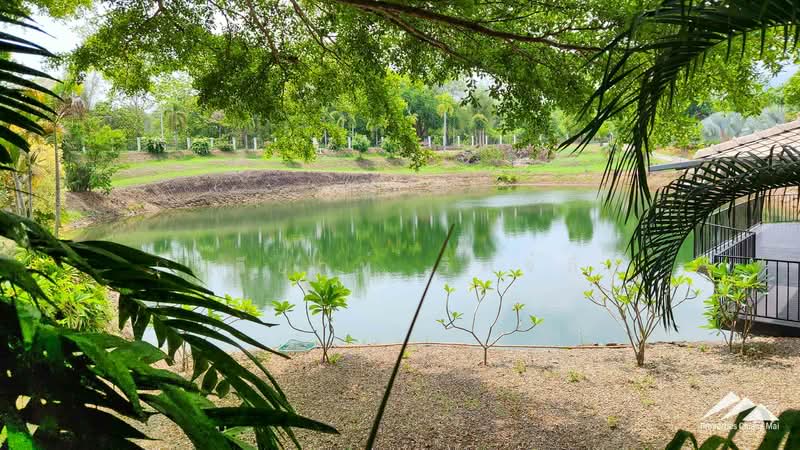 Investors Dream – Wellness Center And Foundation For Sale Or Lease In Hang Dong, Chiang Mai, Nam Phare, Hang Dong, Chiang Mai, , 850 sqm, Business For Sale, by Elijah Ridgley, 11560545 - DDproperty.com