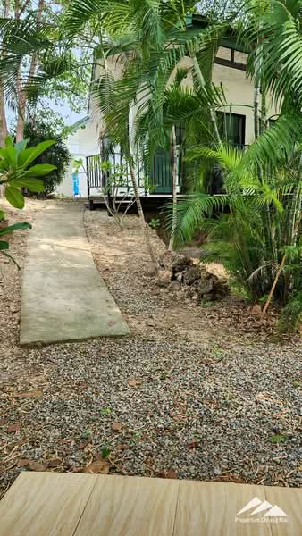 Investors Dream – ศูนย์สุขภาพและมูลนิธิสำหรับขายหรือให้เช่าในหางดง, Chiang Mai, Nam Phare, Hang Dong, Chiang Mai, , 850 sqm, Business For Rent, by Elijah Ridgley, 11560553 - DDproperty.com