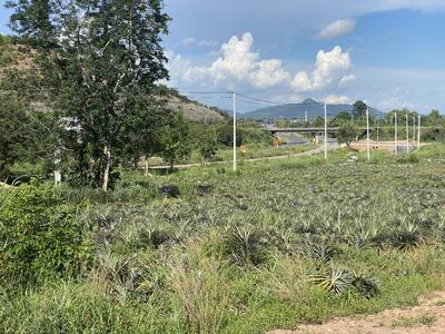 ขาย - ที่ดินสัตหีบ328-0-70ไร่ ติดถนนทางหลวง332ใก้ลสถานีรถไฟพลูตาหลวง 7ก.ม.จากสนามบินอู่ตะเภา ขายไร่ละ4ล้าน, ชลบุรี