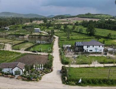 ขาย - ที่ดินเปล่า ทำเลทองที่ตำบลหนองสาหร่าย อำเภอปากช่อง, นครราชสีมา