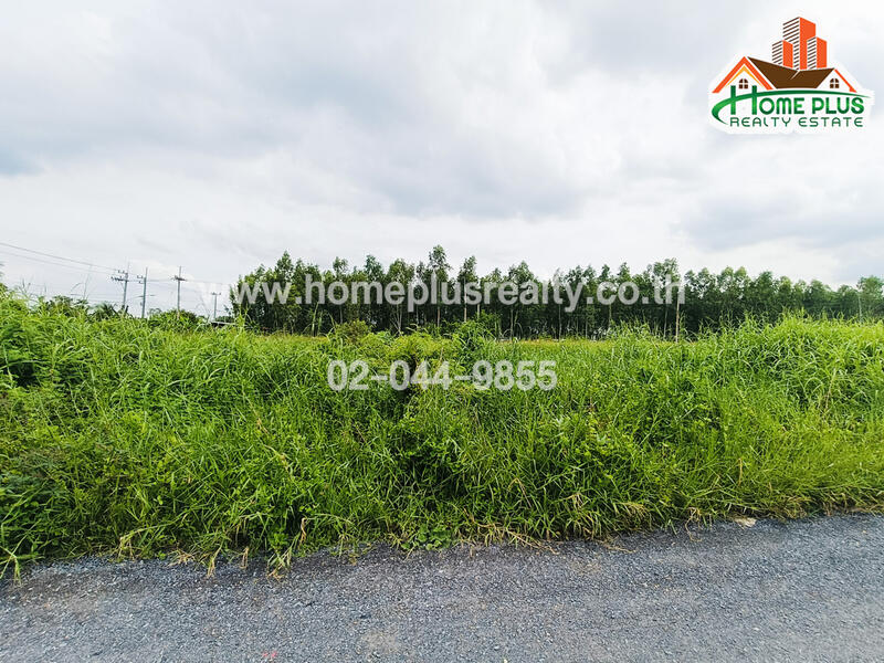 12150, Pathum Thani, Bung Thong Lang, Lam Luk Ka, Pathum Thani, , 1,116 sqm, Land For Sale, by คุณเนม, 11562805 - DDproperty.com