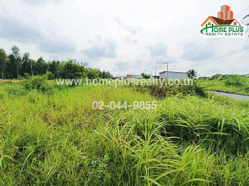 12150, Pathum Thani, Bung Thong Lang, Lam Luk Ka, Pathum Thani, , 1,116 sqm, Land For Sale, by คุณเนม, 11562805 - DDproperty.com