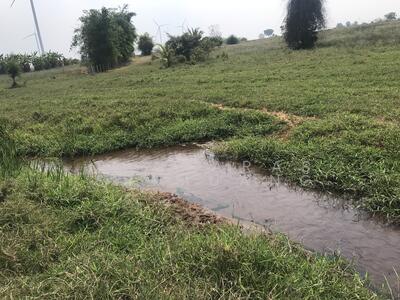 ขาย - ขายที่ดินวิวกังหันลม ตำบลห้วยบง อำเภอด่านขุนทด จังหวัดนครราชสีมา, นครราชสีมา