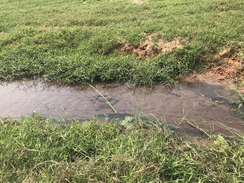 ขายที่ดินวิวกังหันลม ตำบลห้วยบง อำเภอด่านขุนทด จังหวัดนครราชสีมา, นครราชสีมา, พญาเย็น, ปากช่อง, นครราชสีมา, 7,332 ตร.ม., ที่ดิน ขาย, โดย Tanyaras Srimuang, 11563207 - DDproperty.com