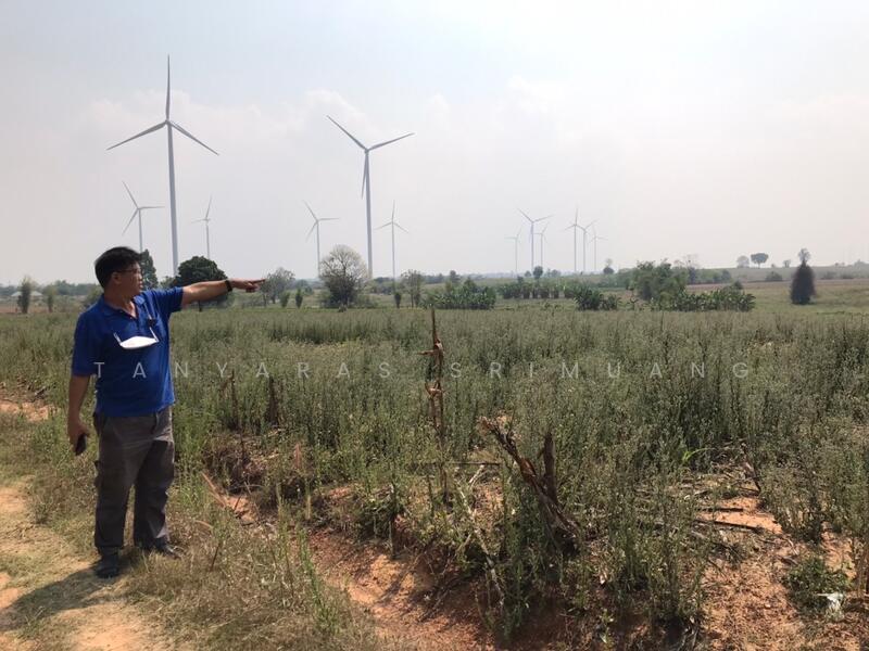 ขายที่ดินวิวกังหันลม ตำบลห้วยบง อำเภอด่านขุนทด จังหวัดนครราชสีมา, นครราชสีมา, พญาเย็น, ปากช่อง, นครราชสีมา, 7,332 ตร.ม., ที่ดิน ขาย, โดย Tanyaras Srimuang, 11563207 - DDproperty.com