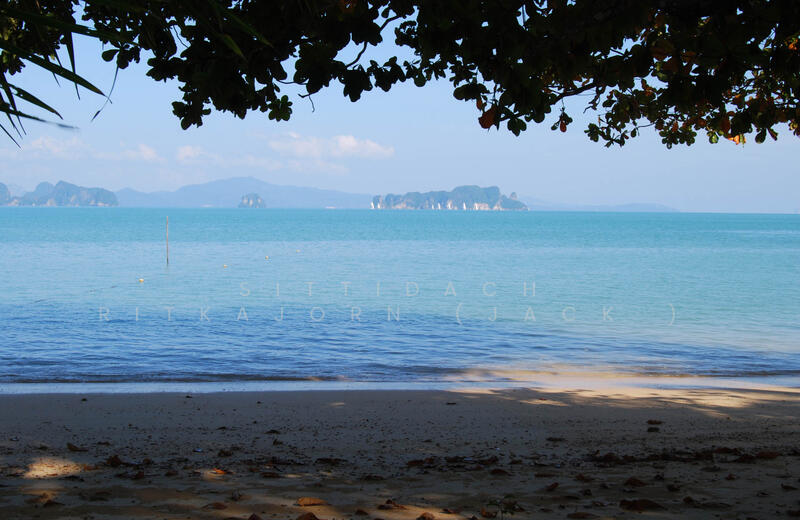 ขายอสังหาริมทรัพย์หรูติดทะเล เกาะยาวน้อย พังงา | วิลล่าริมชายหาด 5 หลัง บนที่ดินขนาดใหญ่, พังงา, เกาะยาวน้อย, เกาะยาว, พังงา, 429 ตร.ม., กิจการ ขาย, โดย Sittidach Ritkajorn (Jack ), 11563566 - DDproperty.com