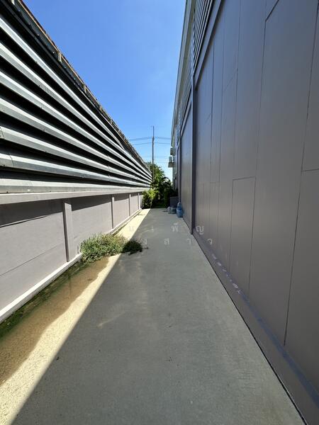 บิ๊กเกอร์แลนด์ ลำลูกกา, Pathum Thani, Bung Kham Proi, Lam Luk Ka, Pathum Thani, , 1,200 sqm, Warehouse/Factory For Rent, by วันเพ็ญ ด้วงสาว, 11564297 - DDproperty.com
