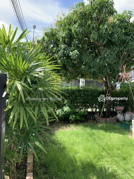 ให้เช่า - The Plant Bangkhae : เดอะ แพลนท์ บางแค, กรุงเทพ