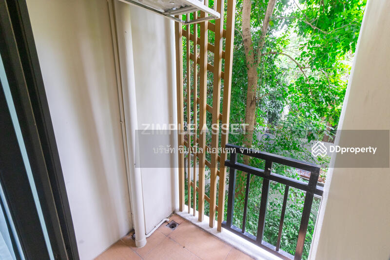 Daily Deluxe Room-Twin Bed
