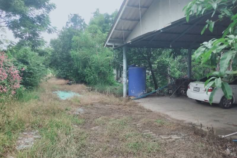 ที่ดินพร้อมบ้าน ซอยสนามกอล์ฟ อัลไพน์ กอล์ฟคลับ (คลอง5) เนื้อที่ 29-0-11.5 ไร่ จ.ปทุมธานี, Pathum Thani, Khlong Ha, Khlong Luang, Pathum Thani, , 46,446 sqm, Land For Sale, by ชนะชาติ นนท์ตา, 11566968 - DDproperty.com
