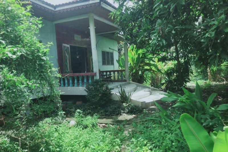 ที่ดินพร้อมบ้าน ซอยสนามกอล์ฟ อัลไพน์ กอล์ฟคลับ (คลอง5) เนื้อที่ 29-0-11.5 ไร่ จ.ปทุมธานี, Pathum Thani, Khlong Ha, Khlong Luang, Pathum Thani, , 46,446 sqm, Land For Sale, by ชนะชาติ นนท์ตา, 11566968 - DDproperty.com