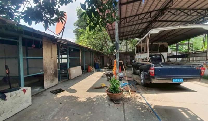 ที่ดินเปล่า ถนนรามอินทรา 5 แยก 18 เนื้อที่ 200 ตรว. ถนนรามอินทรา แขวงท่าแร้ง, กรุงเทพ, ท่าแร้ง, บางเขน, กรุงเทพ, 800 ตร.ม., ที่ดิน ขาย, โดย ชนะชาติ นนท์ตา, 11566974 - DDproperty.com