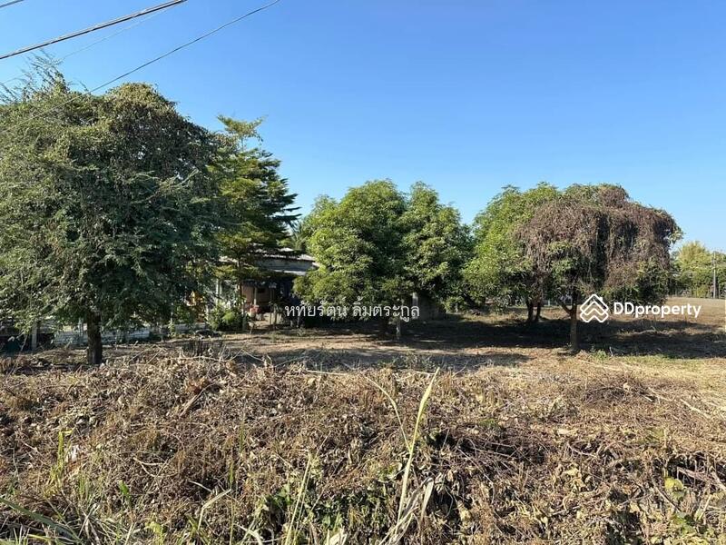 For Sale - Land for sale 1-1-36 rai on main road 108, Chom Thong District, Chiang Mai., Chiang Mai