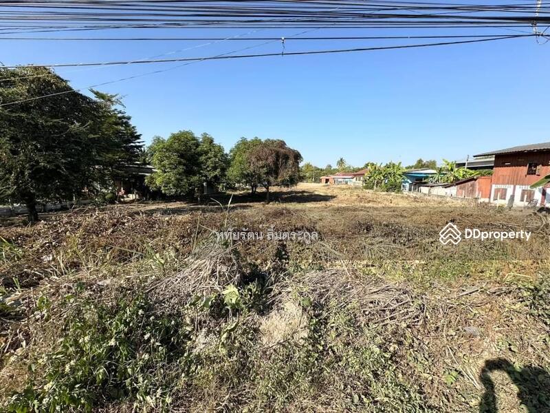 For Sale - Land for sale 1-1-36 rai on main road 108, Chom Thong District, Chiang Mai., Chiang Mai