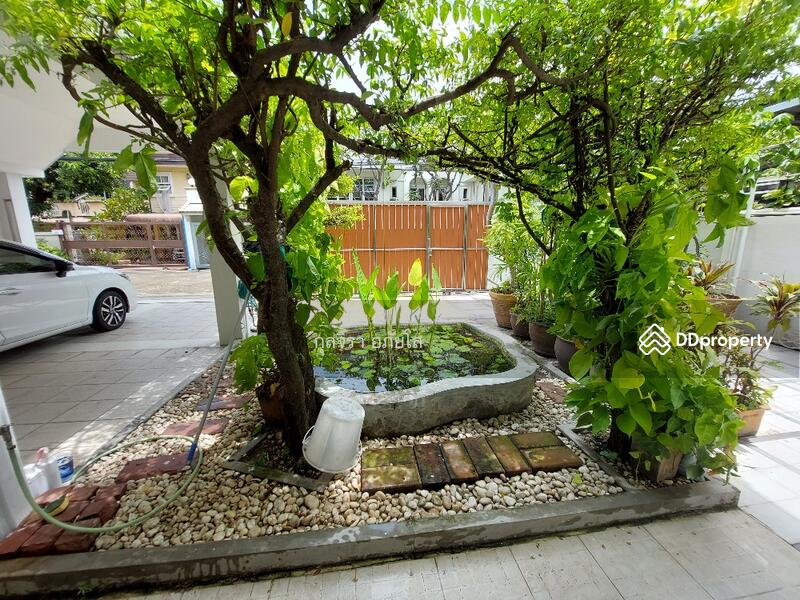 For Rent - 10310, Bangkok