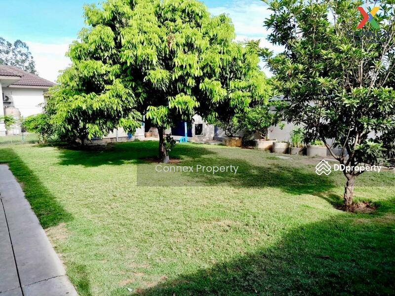 ขาย - บ้าน 2 หลังบนที่ดิน 1 ไร่ ต.สระกระเทียม จ.นครปฐม, นครปฐม