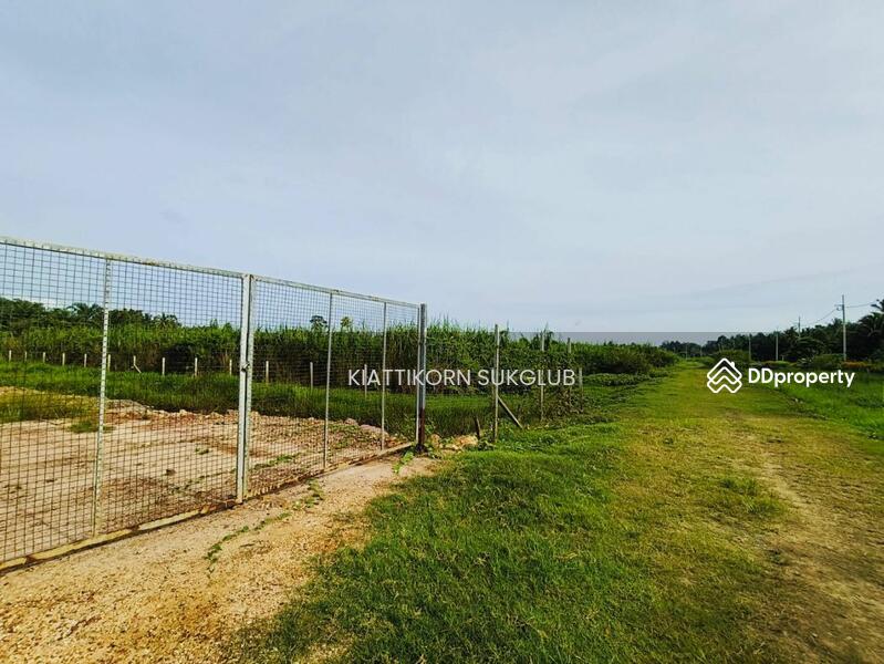 For Sale - ที่ดิน, Nakhon Si Thammarat