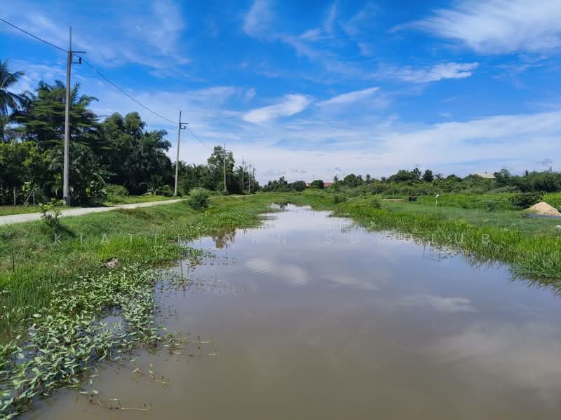 ที่ดิน, Nakhon Si Thammarat, -, Pak Phun, Muang Nakhon Sri Thammarat, Nakhon Si Thammarat, , 4,284 sqm, Land For Sale, by KIATTIKORN SUKGLUB, 11569769 - DDproperty.com