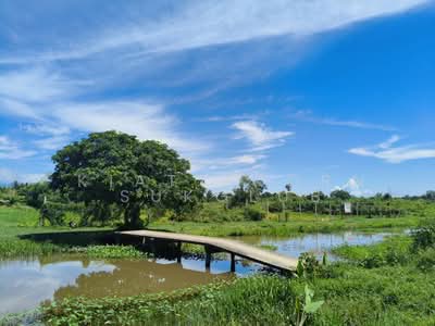 ขาย - ที่ดิน, นครศรีธรรมราช