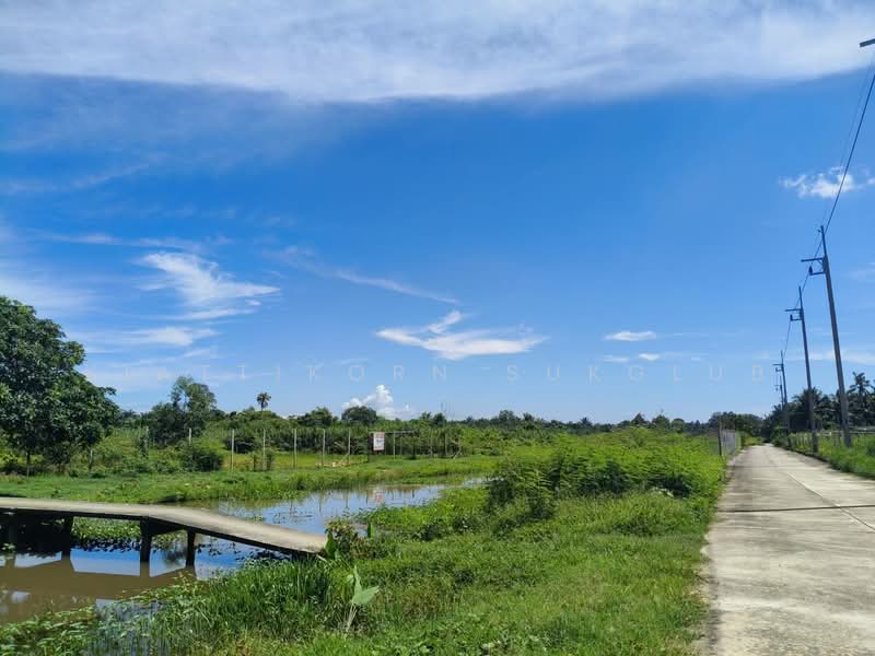 ที่ดิน, นครศรีธรรมราช, -, ปากพูน, เมืองนครศรีธรรมราช, นครศรีธรรมราช, 4,284 ตร.ม., ที่ดิน ขาย, โดย KIATTIKORN SUKGLUB, 11569769 - DDproperty.com