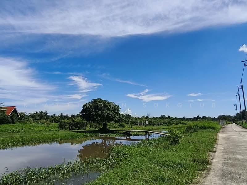 ที่ดิน, Nakhon Si Thammarat, -, Pak Phun, Muang Nakhon Sri Thammarat, Nakhon Si Thammarat, , 4,284 sqm, Land For Sale, by KIATTIKORN SUKGLUB, 11569769 - DDproperty.com