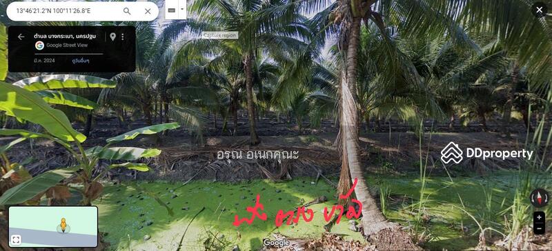 ขาย - นครชัยศรี, นครปฐม
